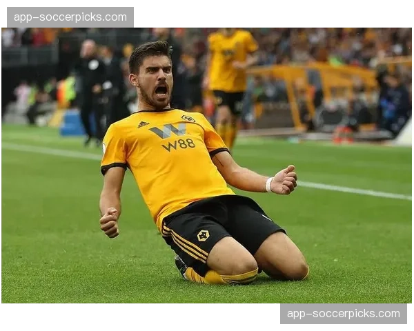 狼队发布伤病报告,两名关键中场出战成疑,转换能力受考验 狼队发布伤病报告,两名关键中场出战成疑,转换能力受考验